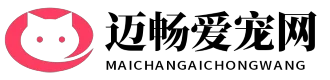 迈畅爱宠网
